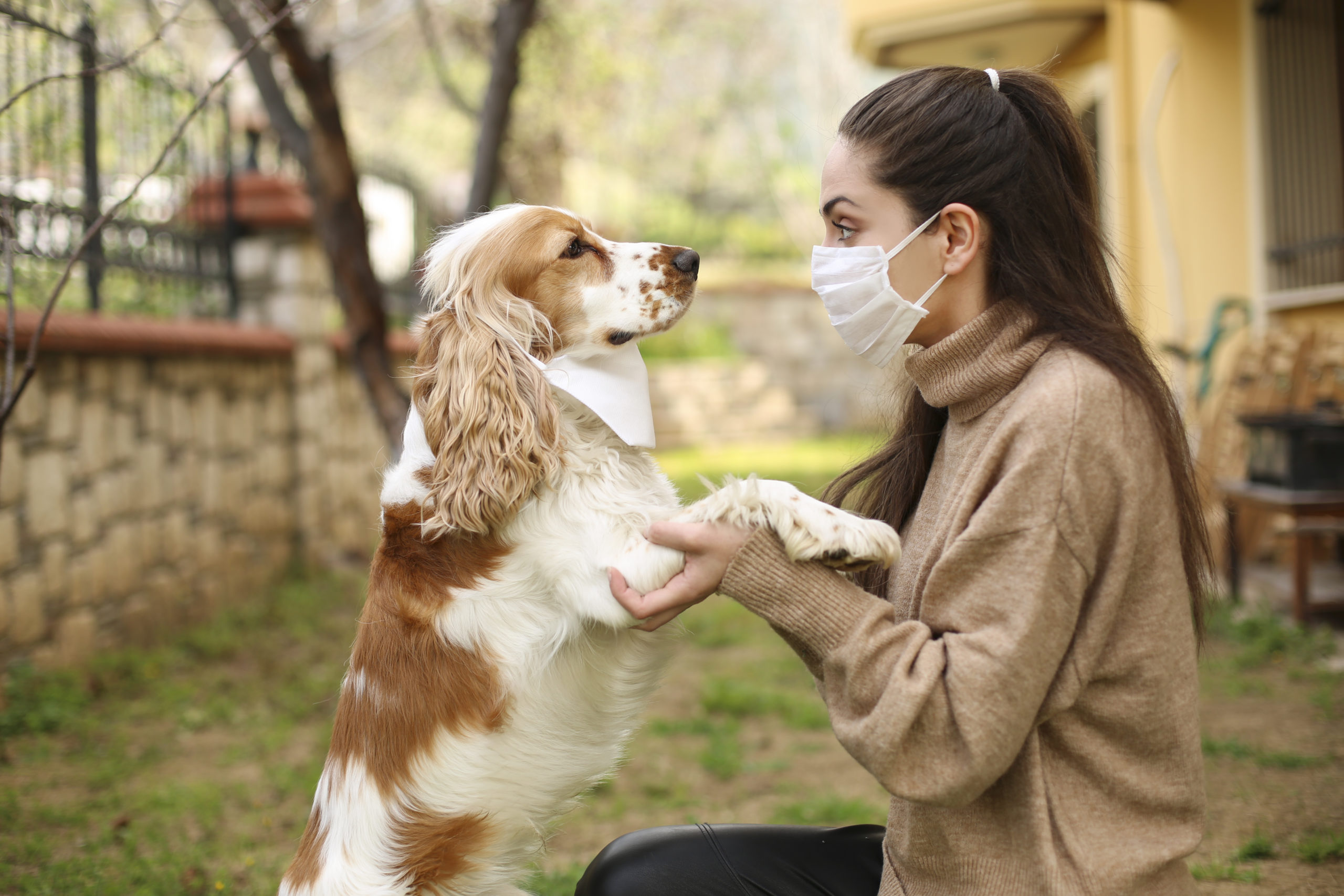 Protect my pet. Protect my pet